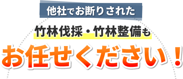 他社でお断りされた竹林伐採・竹林整備もお任せください！