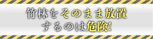 竹林をそのまま放置するのは危険！