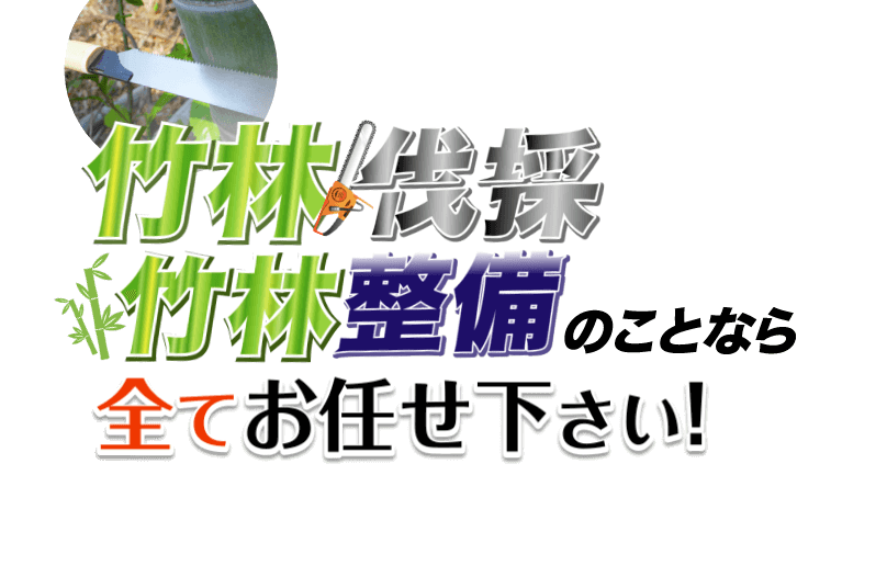 竹林伐採・竹林整備のことなら全てお任せ下さい！