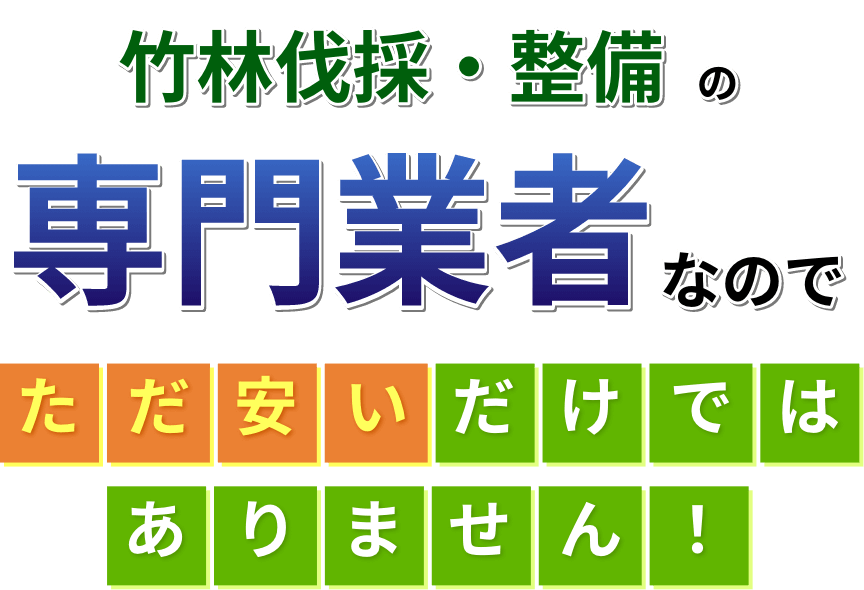 竹林伐採・整備の専門業者なのでただ安いだけではありません！